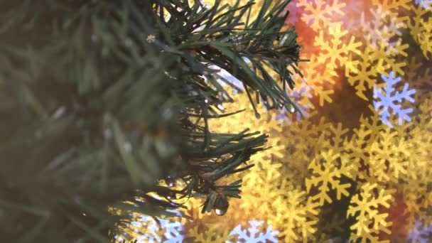 Wählen Sie Fokus Weihnachtsbaumblätter Mit Schnee Bokeh Hintergrund Winterferienkonzept — Stockvideo