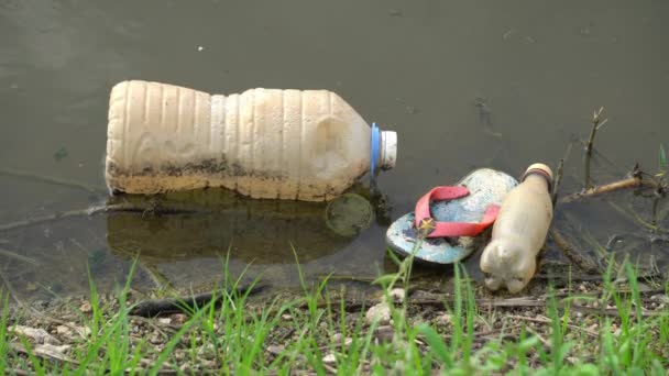 川のプラスチックボトルと容器をこすり — ストック動画