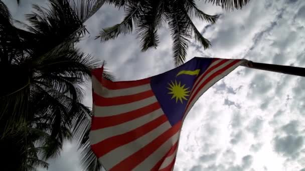 Αργή Κίνηση Μαλαισία Κυματίζει Κάτω Από Καρύδα — Αρχείο Βίντεο