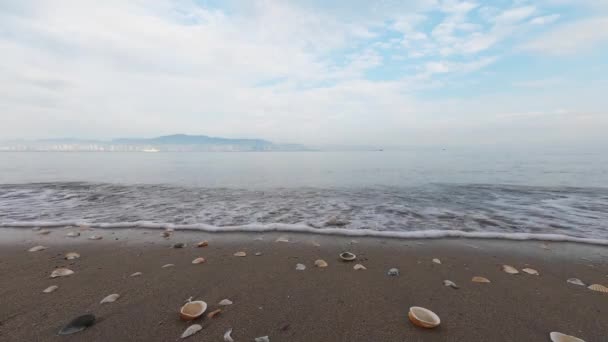 Low Angle View Zeegolf Bewegen Richting Camera Schelp Het Strand — Stockvideo