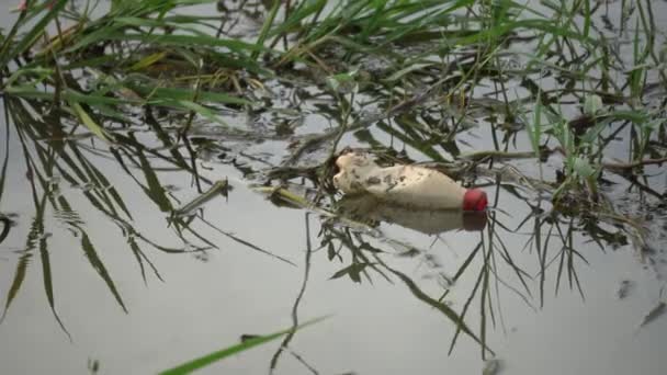 Botella Plástico Río Agua Contaminada — Vídeos de Stock