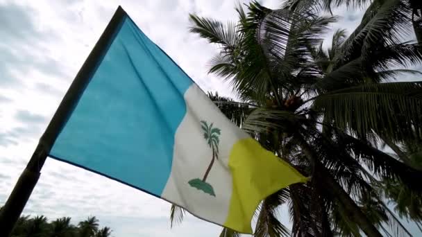 Σημαία Penang Αργή Κίνηση Αγροτική Σκηνή Αγρόκτημα Καρύδας — Αρχείο Βίντεο