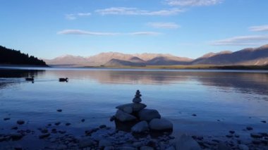 Tekapo Gölü 'nde iki yaban ördeği merdiven taşının arkasında yüzüyor..