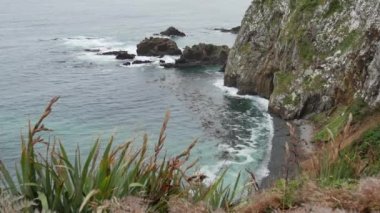 Nugget Point yakınlarındaki kayalık, Catlins, Güney Adası, Yeni Zelanda.