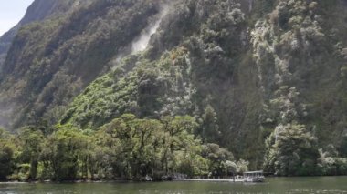 Milford Sound, Güney Adası, Yeni Zelanda 'nın yeşil manzarasında bir tekne..