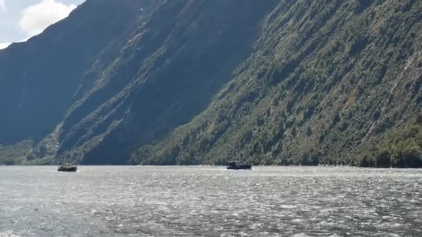 Två båt kryssning på Milford Sound i solig dag — Stockvideo