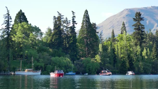 Parking bateau avec pin en arrière-plan. — Video