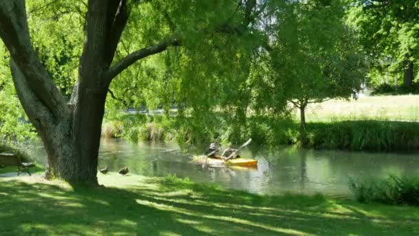 Mensen genieten van kajakken op de rivier de Avon in Botanische Tuin. — Stockvideo