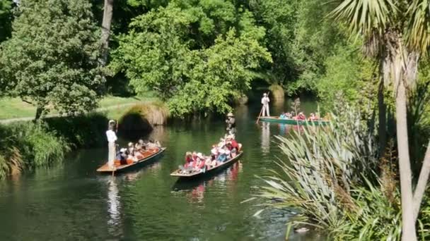 Avon Nehri ve Botanik Bahçeleri 'nde Üç Koşu — Stok video
