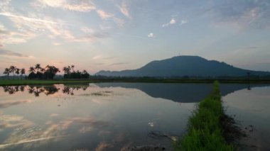 Bukit Mertajam, Penang, Malezya 'daki Paddy Field' da gün doğumu yansıması.