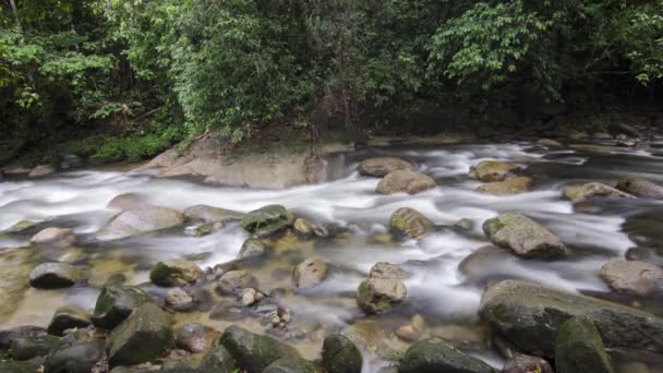 Cachoeira Timelapse Pedra Rocha Selva Sungai Sedim Kedah Malásia — Vídeo de Stock