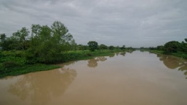 Günaydınlar Sungai Perai ve çevreleyen yeşil ağaçlar.