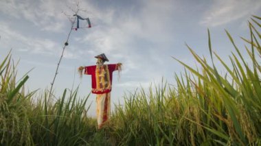 Penang, Malezya 'da bulutlu gökyüzü arkaplanlı zaman çizelgesi.