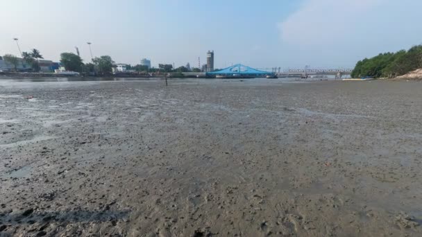 Timelapse Sungai Perai Apály Idején Rák Tengeri Lény Mászik Körül — Stock videók