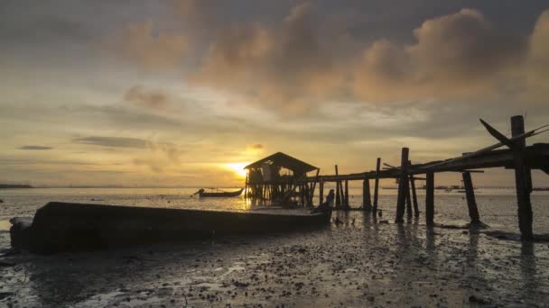 Timelapse Amanecer Paloma Embarcadero Criatura Marina Arrastrarse Costa Durante Marea — Vídeos de Stock