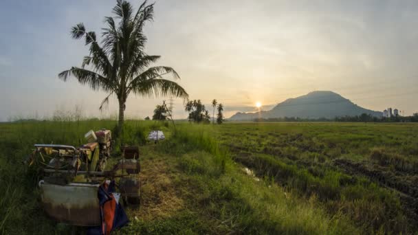 Bukit Mertajam Penang Malaisie Avril 2018 Stationnement Tracteur Rizicole Timelapse — Video