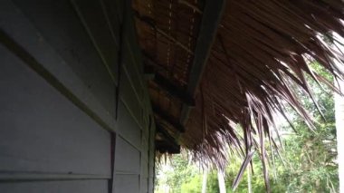 Lidi atap 'tan yapılmış Malezya Kampung evinin çatısında..