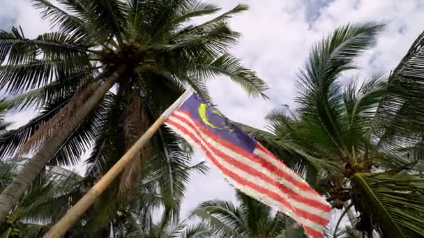 Bandeira Malásia Acenando Sob Coqueiros — Vídeo de Stock