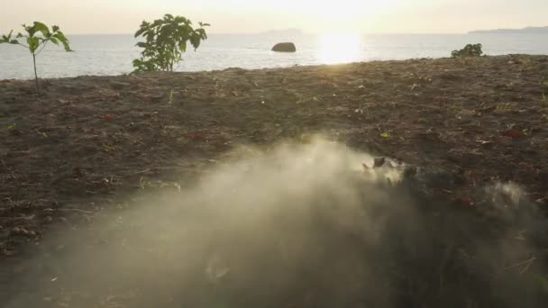 Otevřít Hořící Odpadky Keře Pláži — Stock video