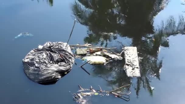 Μαύρα Πλαστικά Σκουπίδια Σκούρο Νερό Ρύπανση Του Περιβάλλοντος — Αρχείο Βίντεο