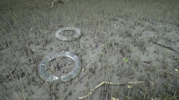 Gamle Dæk Skrald Tilovers Mangrove Træ Skov – Stock-video