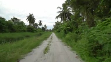 Malezya kırsalındaki yolda Gimbal hareketi.