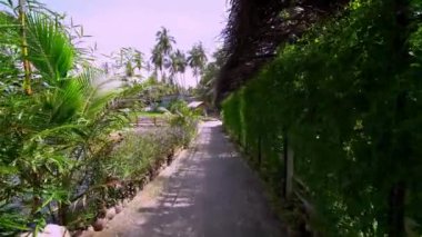 Malezya 'nın Kamboçya manzarasında doğal yolda yürü.