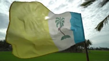 Doğal hindistan cevizi tarlasında ve çeltik tarlasında Penang bayrağı dalgası.