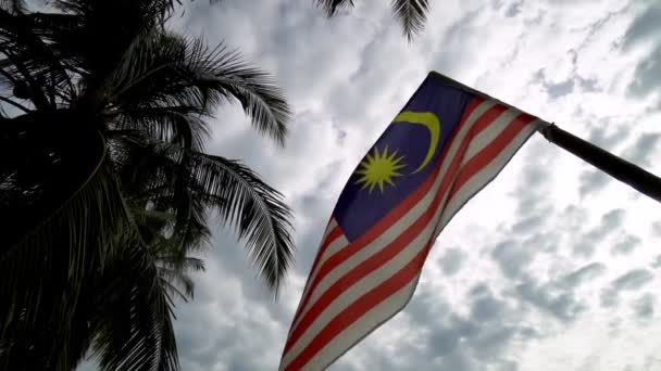 Медленное Движение Флага Малайзии Плантации Кокосовых Пальм — стоковое видео