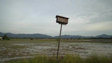Malaylı kuş evi Balik Kampung sözcüğü memlekete dönmek anlamına geliyor.