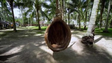 Kuş yuvası salıncağı hindistan cevizi çiftliğinde hareket ediyor..