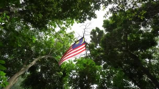 Bandeira Malásia Acenando Floresta Árvores Verdes — Vídeo de Stock