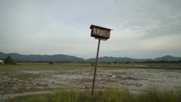 Panning Bird House Con Palabra Malaya Balik Kampung Significa Volver — Vídeo de stock