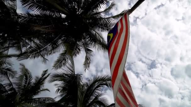 Bandeira Malásia Câmera Lenta Acenando Com Fundo Coco — Vídeo de Stock
