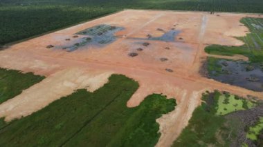 Büyük ağaç alanları kesilir ya da arazi gelişimi için temizlenir.