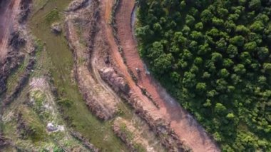 Kazıcıyı izleyen hava görüntüsü orman yakınlarındaki kara temizleme alanında hareket ediyor