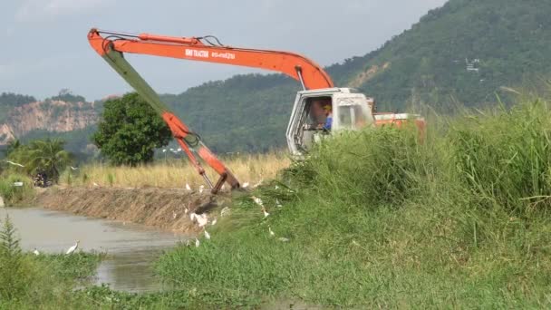 La excavadora draga el río. Ampliación y profundización del río. — Vídeos de Stock