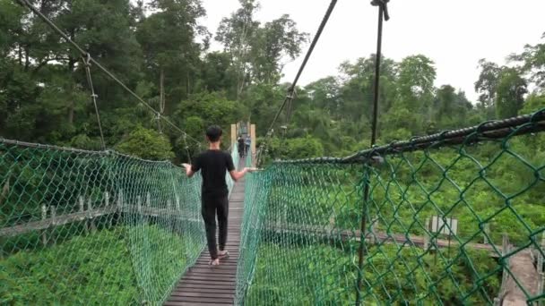Promenade touristique à la canopée à Ayer Itam Dalam Education Forest. — Video