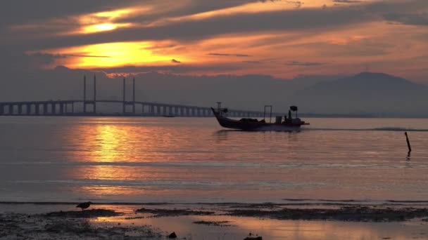 Rybářský člun na mostě Penang. Heron pták hledání potravy na pobřeží. — Stock video