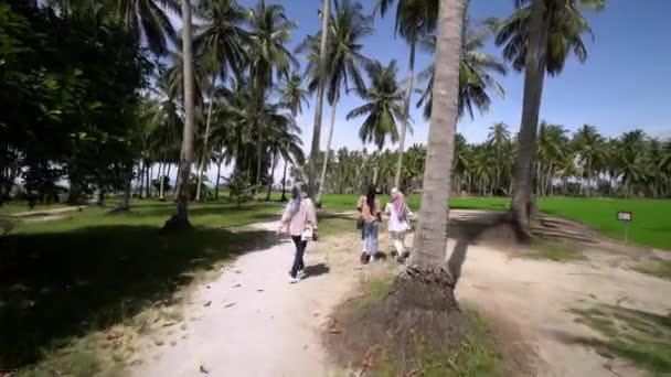 Visita turística malaia ao parque ecológico Kampung Agong. — Vídeo de Stock