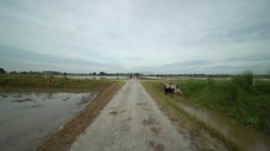 Kırsal kesimde çocuklar olta ve bisiklet getiriyor..