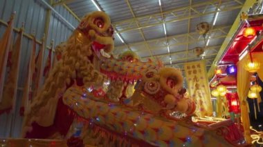 Aslan tapınakta dans ediyor..