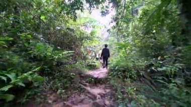 Tropikal ormanda yürüyüş yapan bir grup insan..