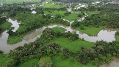 Hava manzaralı nehir Sungai Perai Malezya 'daki yeşil ormanın yanında.