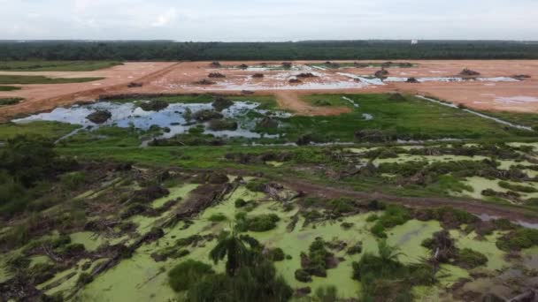 Limpeza Plantação Palma Óleo Abre Caminho Para Outro Projeto Malásia — Vídeo de Stock