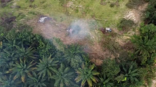 Tractor Empuje Árbol Seco Para Abrir Quemadura Contaminación Atmosférica — Vídeo de stock