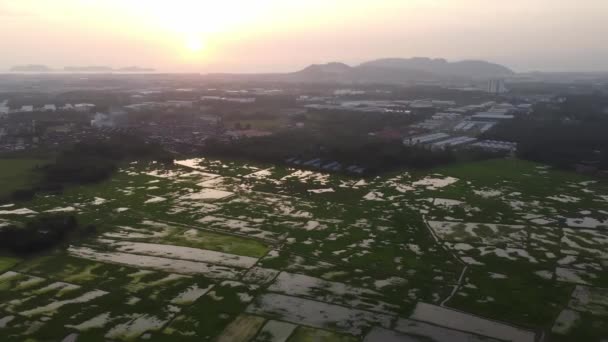 マレーシアのペナンの水田の上空からの日没の眺め — ストック動画