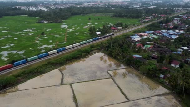 Contenitore treno si muovono al campo di risaia verde — Video Stock