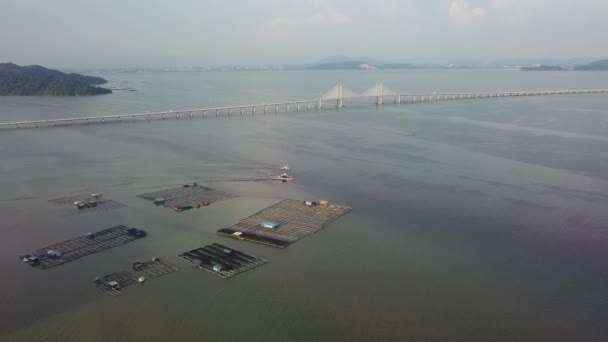 Fiskeopdræt Luften Penang Second Bridge Som Baggrund – Stock-video