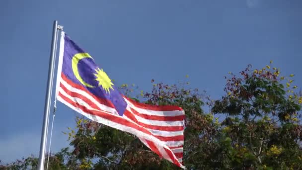 Malaysia Flagga Viftande Blå Himmel — Stockvideo
